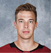GLENDALE, ARIZONA - SEPTEMBER 12: Darcy Kuemper #35 of the Arizona Coyotes poses for his official headshot for the 2019-2020 season on September 12, 2019 at the Gila River Arena in Glendale, Arizona  (Photo by Norm Hall NHLI via Getty Images)